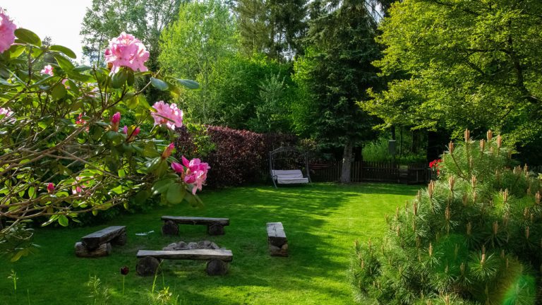 Turn Your Backyard Into a Green Dream (Without the Big Budget)